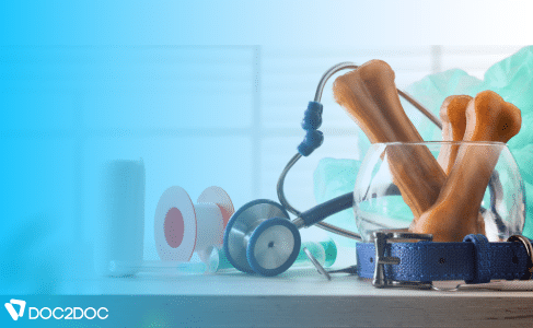 Veterinarian supplies - Personal Loans for Vets